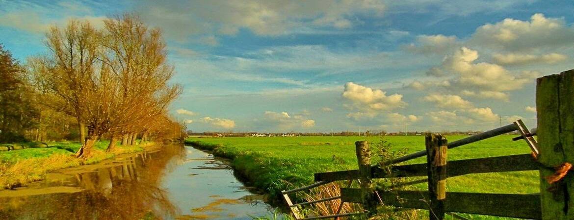 weiland-hek-in-de-polder-2